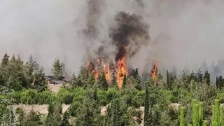 Denizli’de orman yangını