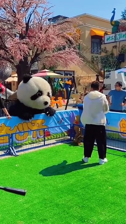 #funnyvideos_#funny_#funnyanimals_#comedyvideos_#comdy_#lucu_#fyp_#fypシ_#foryou_#xuhuong_(1)