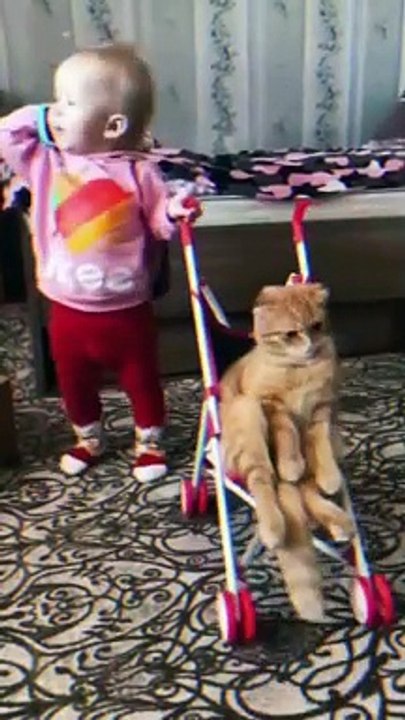 Funny babies shorts