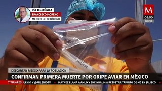 ¿Que precauciones debemos tomar tras la primera muerte por gripe aviar en México?