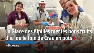 La Glace des Alpilles met les bons fruits d'ici ou le foin de Crau en pots