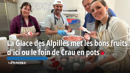 La Glace des Alpilles met les bons fruits d'ici ou le foin de Crau en pots