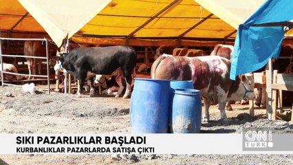 A'dan Z'ye 6 Haziran 2024 Perşembe