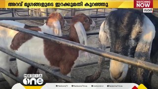 ബലിപെരുന്നാളിന് ദിവസങ്ങൾ ബാക്കി;പ്രാദേശിക ആടുകള്‍ക്ക് 2000 മുതല്‍ 3000 റിയാല്‍ വരെ നിരക്ക്