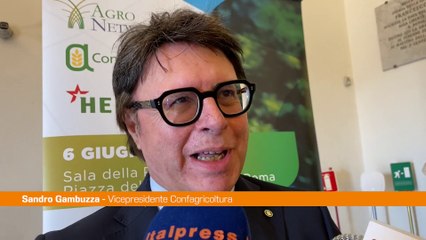 Siccità, Gambuzza "Servono infrastrutture"