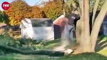 Funny vedios # try to not laugh 232