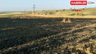 Edirne'de çıkan yangında 250 saman balyası zarar gördü