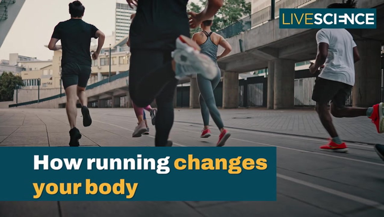 How Running Changes Your Body