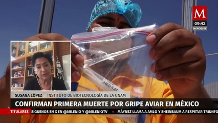 "Gripe aviar no implica riesgo de pandemia", afirma doctora de la UNAM
