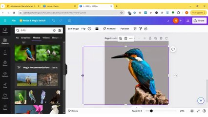 BIRD Text Effect Design