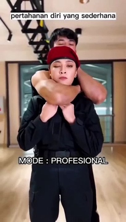 Mode provesional