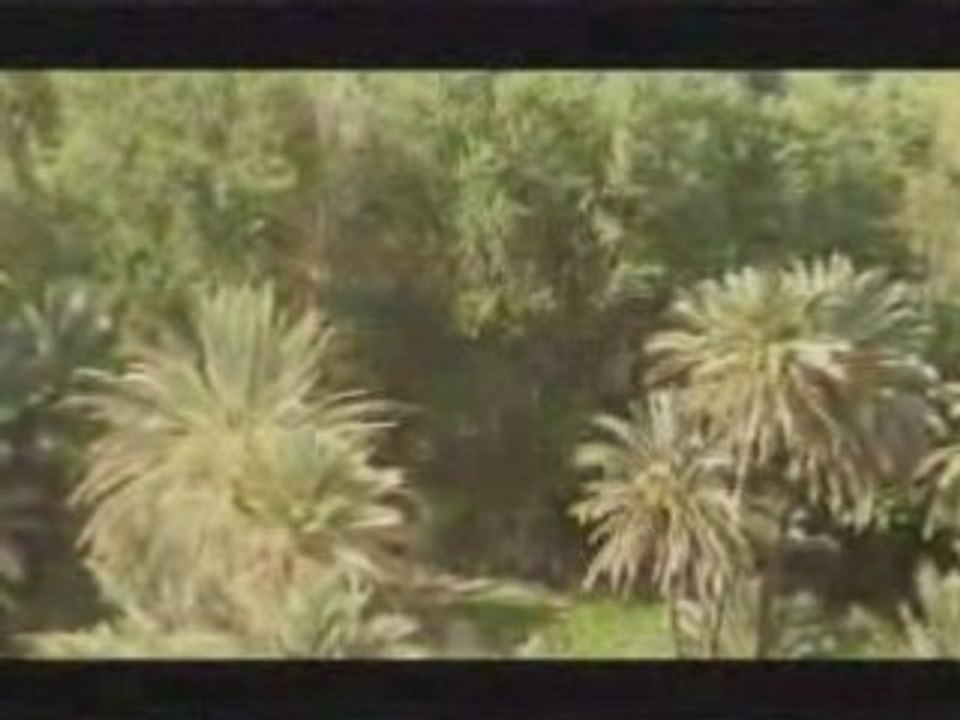 Version amazigh: Hamza - Yal Babour Ya Mon Amour