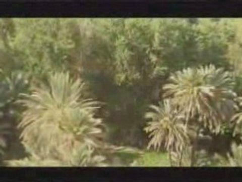 Version amazigh: Hamza - Yal Babour Ya Mon Amour