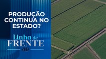 Veja como tem sido o dia a dia na agricultura do Rio Grande do Sul | LINHA DE FRENTE