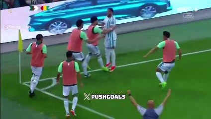 Algérie-Guinée (1-1) : but CSC