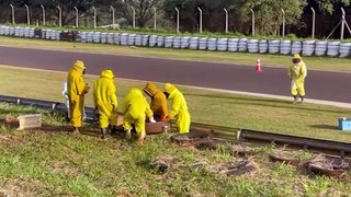 Segurança e preservação: Defesa Civil de Cascavel realiza curso intensivo de captura de abelhas