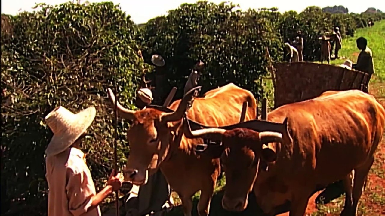 La Esclava Isaura capitulo 3 1080p Español Latino