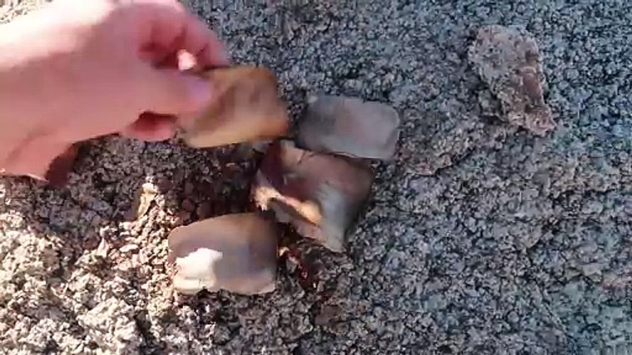 Prospecting For Gold Nuggets With Metal Detectors In the Southwestern Arizona Desert