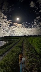 Beautiful video like follow