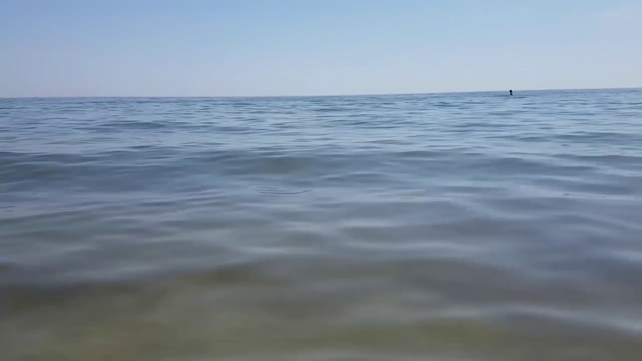 Walk along the beach / Sea of Azov, Arabat Spit