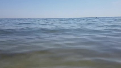 Walk along the beach / Sea of Azov, Arabat Spit