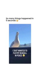 So many things happened in 5 seconds.  