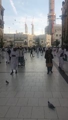 شارع ابراہیم مکہ