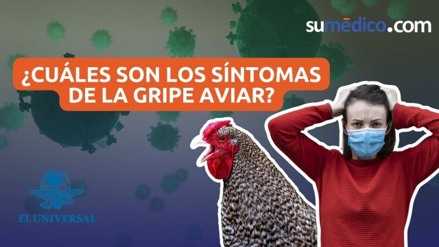 ¿Cuáles son los síntomas de la gripe aviar?