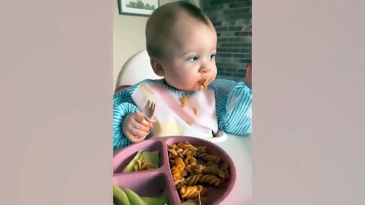 Funny Baby Videos - The Ultimate Funniest Babies Moments Compilation