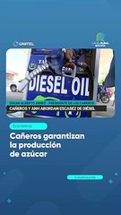 Cañeros garantizan la producción de azúcar