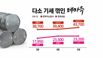 석유·가스 매장 가능성에 관련 테마주 '들썩' [앵커리포트] / YTN