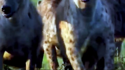 No one has seen such an attack before