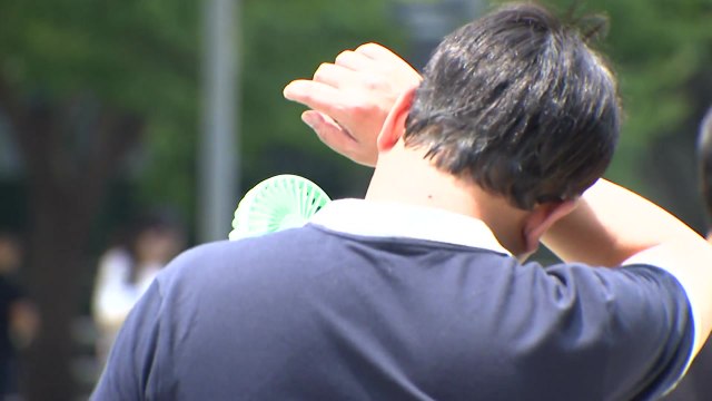 [날씨] 닷새째 '30℃ 안팎' 더위 ...주말 비 내리며 주춤 / YTN