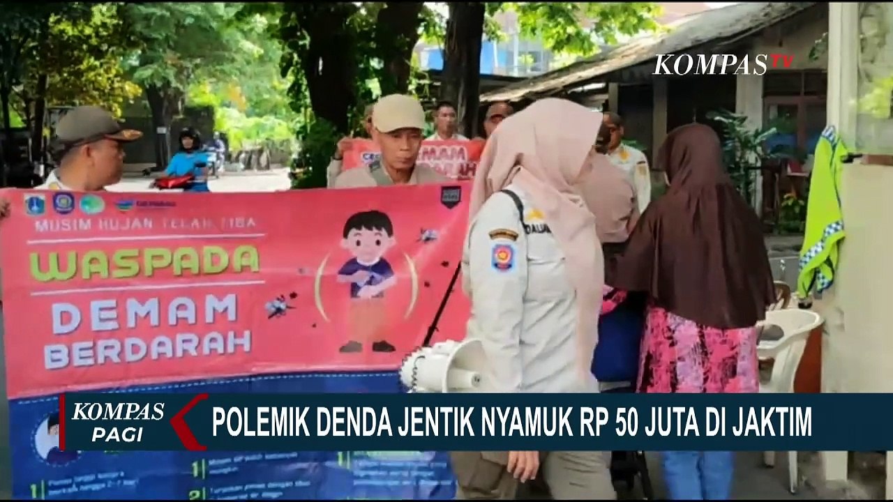 Warga Jakarta Timur Tolak Aturan Denda Jentik Nyamuk Rp50 Juta Video