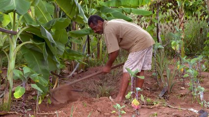 La pugna del Movimiento sin Tierra con el agronegocio en el Brasil de Lula