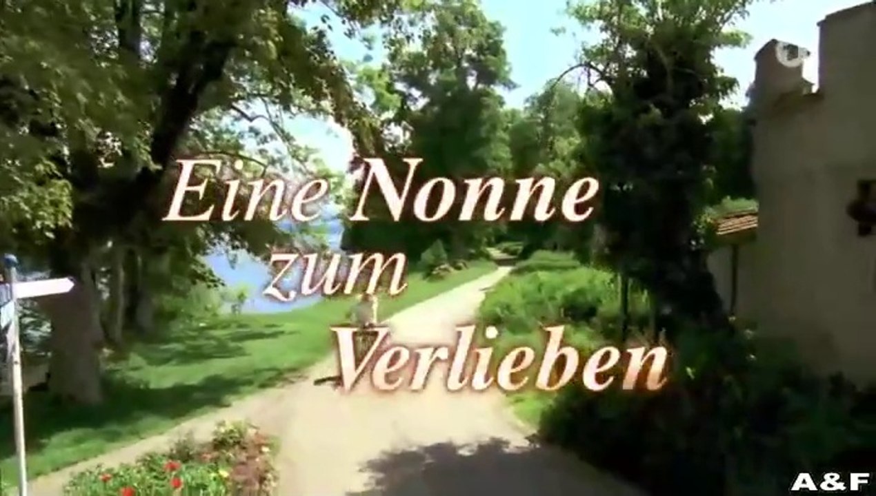 Utta Danella -20- Eine Nonne zum Verlieben