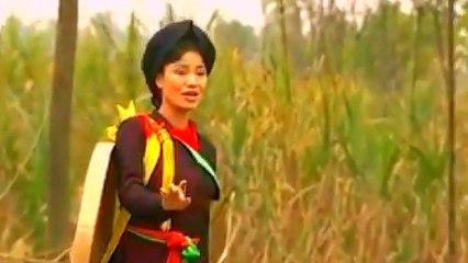 Hát chèo lời cổ điệu Đào Liễu