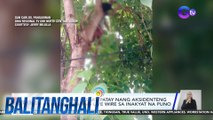 12-anyos na lalaki, patay nang aksidenteng mahawakan ang live wire sa inakyat na puno | Balitanghali