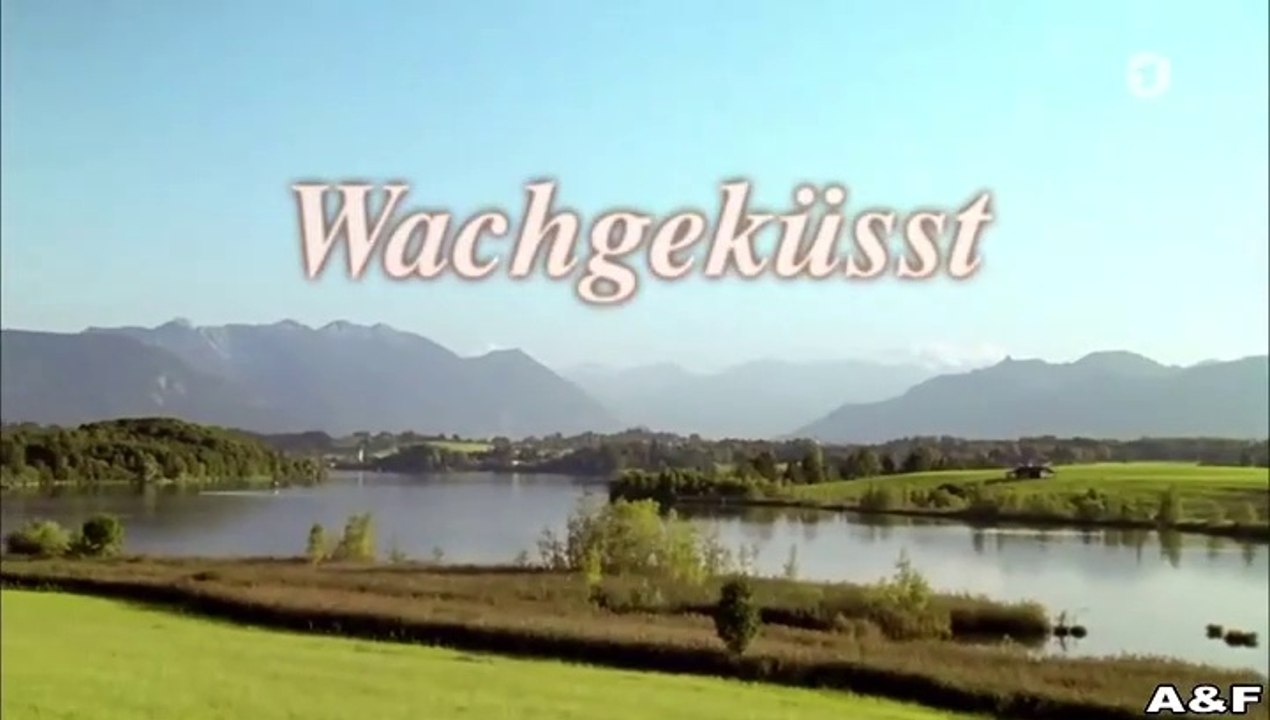 Utta Danella -21- Wachgeküsst