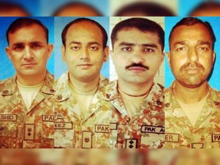 Salute : Sons Of Soil