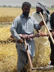موٹرسائیکل کے انجن سے تیار کی گئ گندم کی مشین