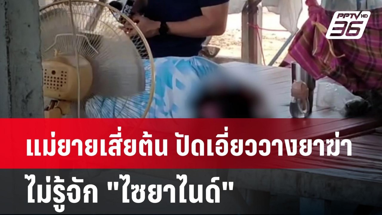 แม่ยาย "เสี่ยต้น" ปัดเอี่ยววางยาฆ่า-ไม่รู้จัก "ไซยาไนด์" | โชว์ข่าวเช้านี้ | 7 มิ.ย. 67