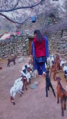 Vallage girls at Gilgit baltistan