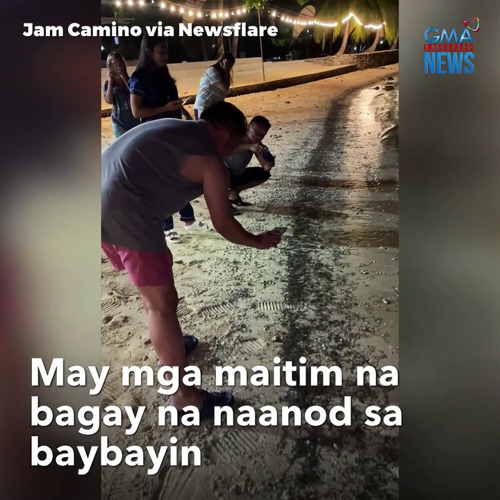 Sangkaterbang bulate, biglang sumulpot sa baybayin! | GMA Integrated Newsfeed