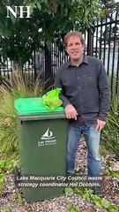 Hal Dobbins of Lake Macquarie City Council