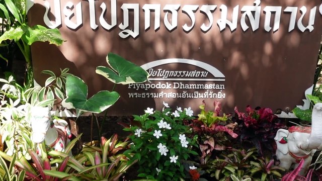 Buddhas Garten, Mönche, Nonnen, und ein wenig Rudolf Steiner