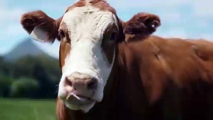 Todos los productos de Michelin