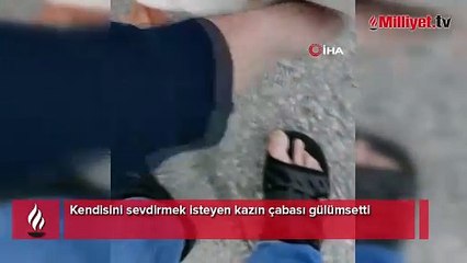 Kendisini sevdirmek isteyen kazın çabası gülümsetti