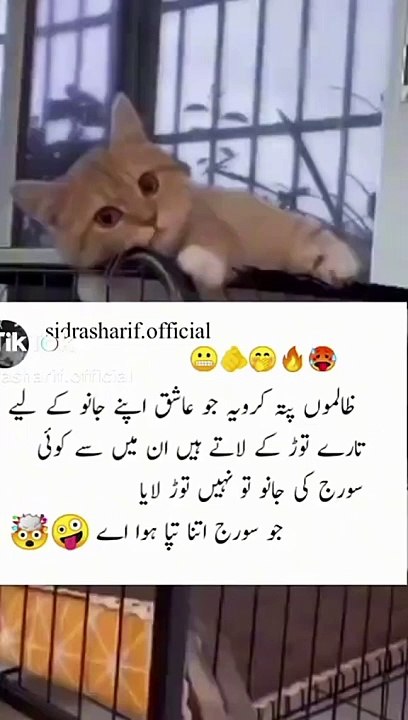 0d21f048-0c73-4022-a905-8682ca5a62bf