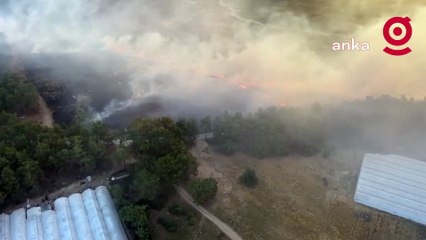 Antalya ve Muğla'da orman yangınlarının bilançosu: 6 hektar alan zarar gördü